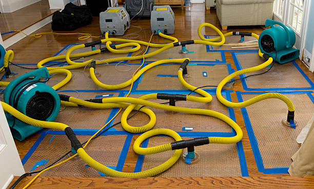 Professional Basement Flood Cleanup technician working in Anacortes, WA